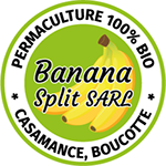 l'hôtel balafon est partenaire du projet de stage de permaculture banana split sénégal et propose un hébergement pas cher à cap skirring